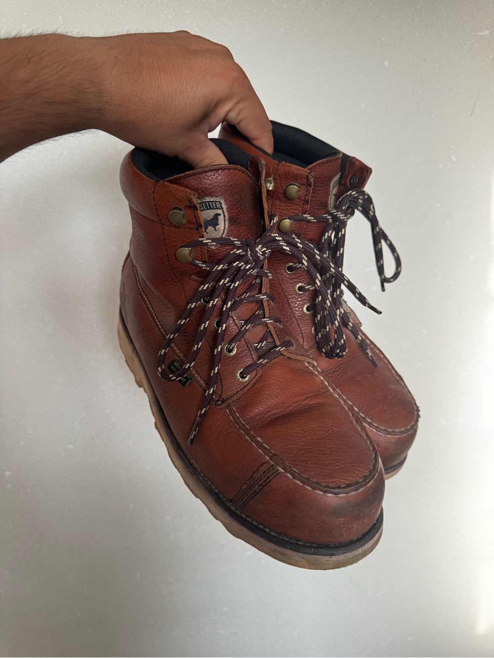 Irish Setter Wingshooter ST